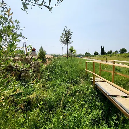 Viovillas Agriturismo Glamping Arezzo Exterior photo