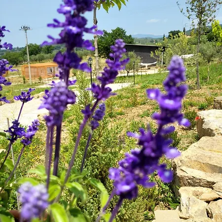 Viovillas Agriturismo Glamping Arezzo Exterior photo