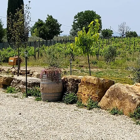 Viovillas Agriturismo Glamping Arezzo Exterior photo
