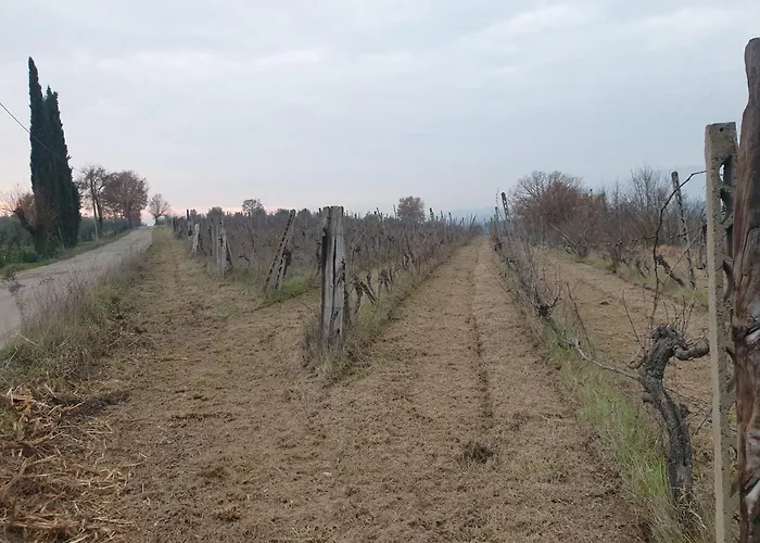 Viovillas Agriturismo Glamping Arezzo