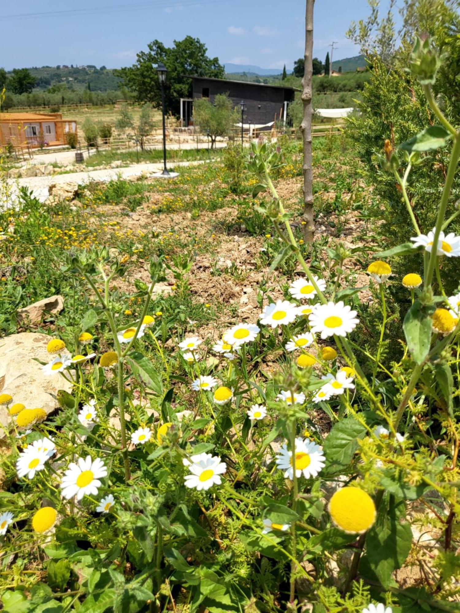 Viovillas Glamping * Arezzo