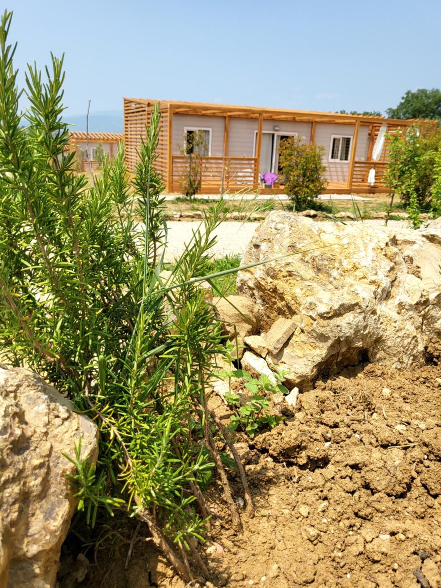 Viovillas Glamping Arezzo