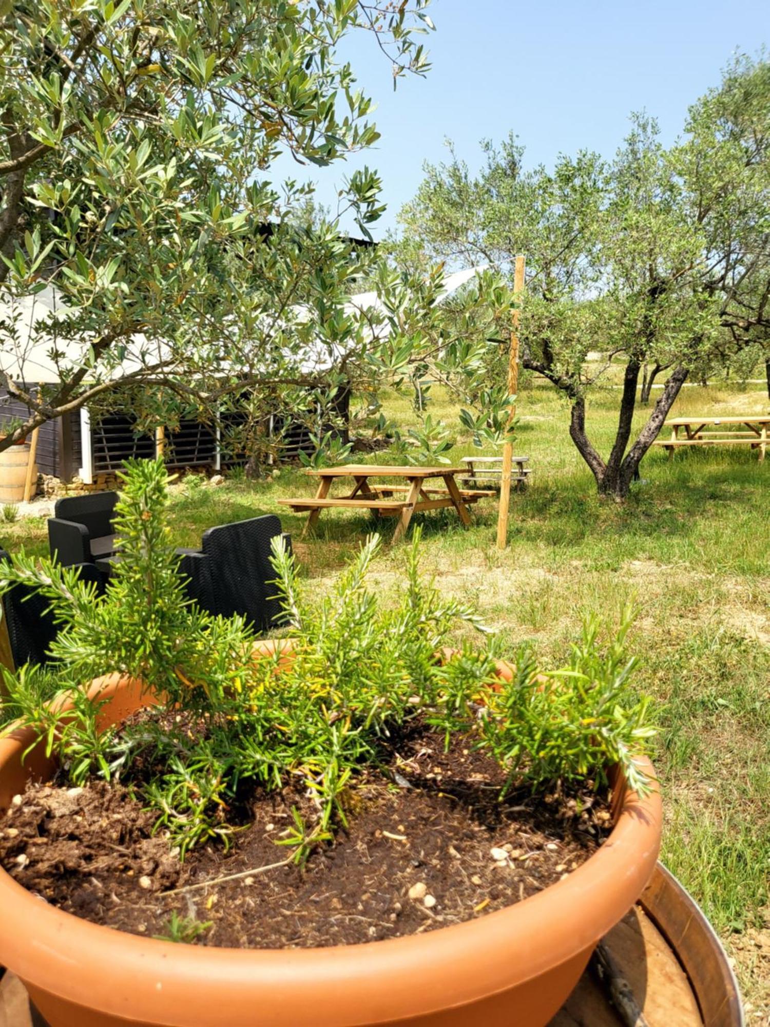 Camping Viovillas Glamping *