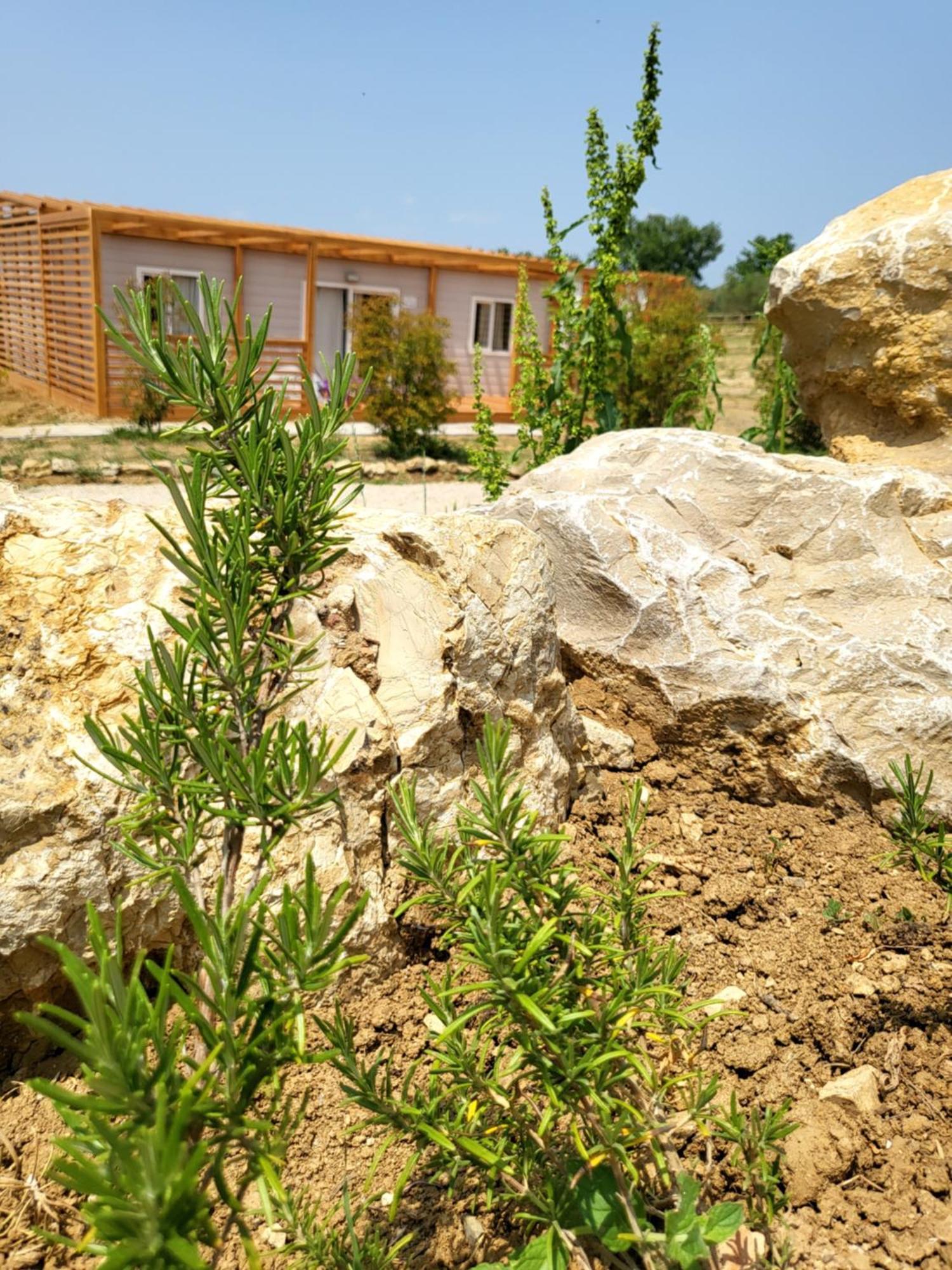 Camping Viovillas Glamping Arezzo