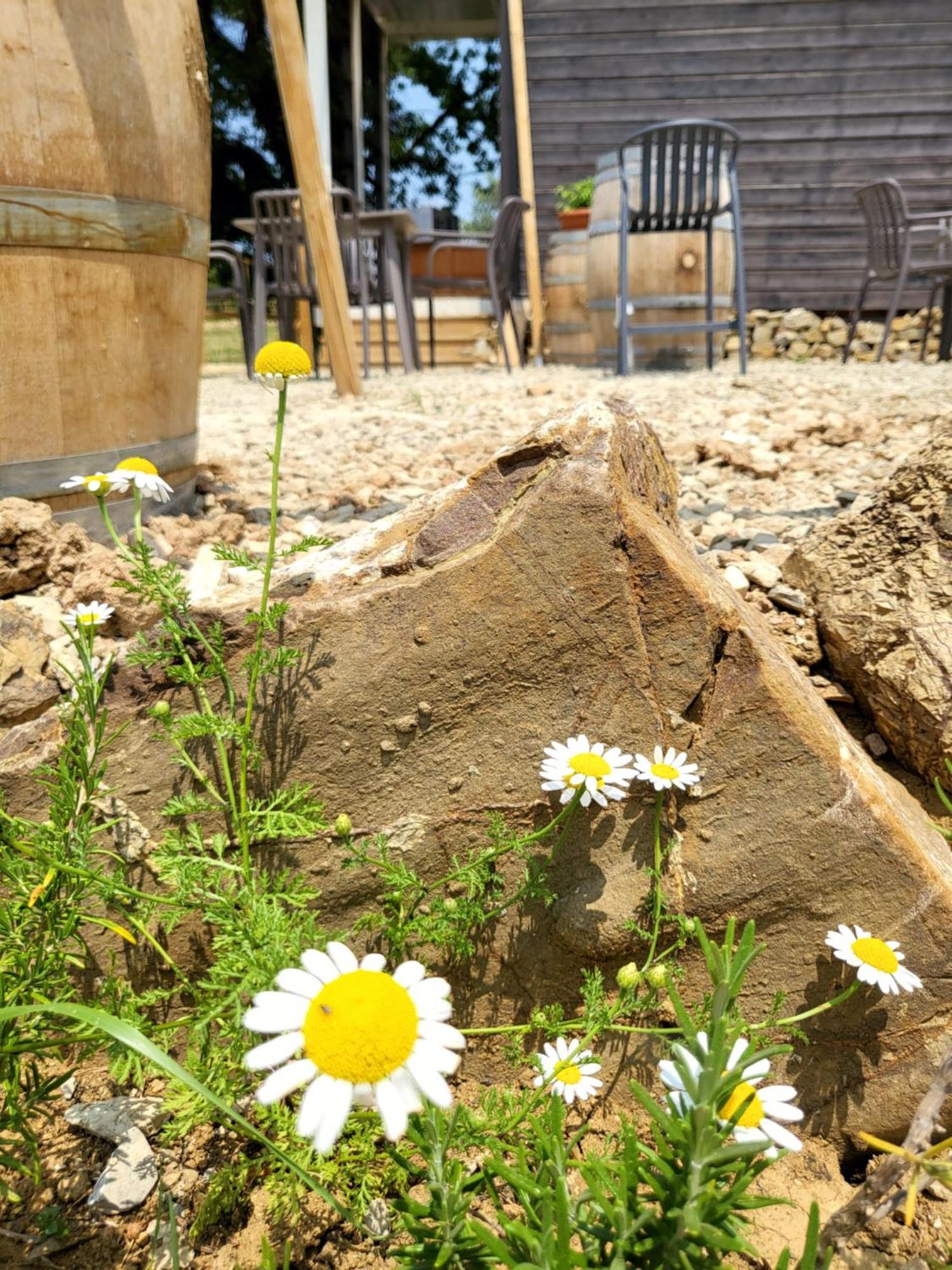 Viovillas Glamping Camping