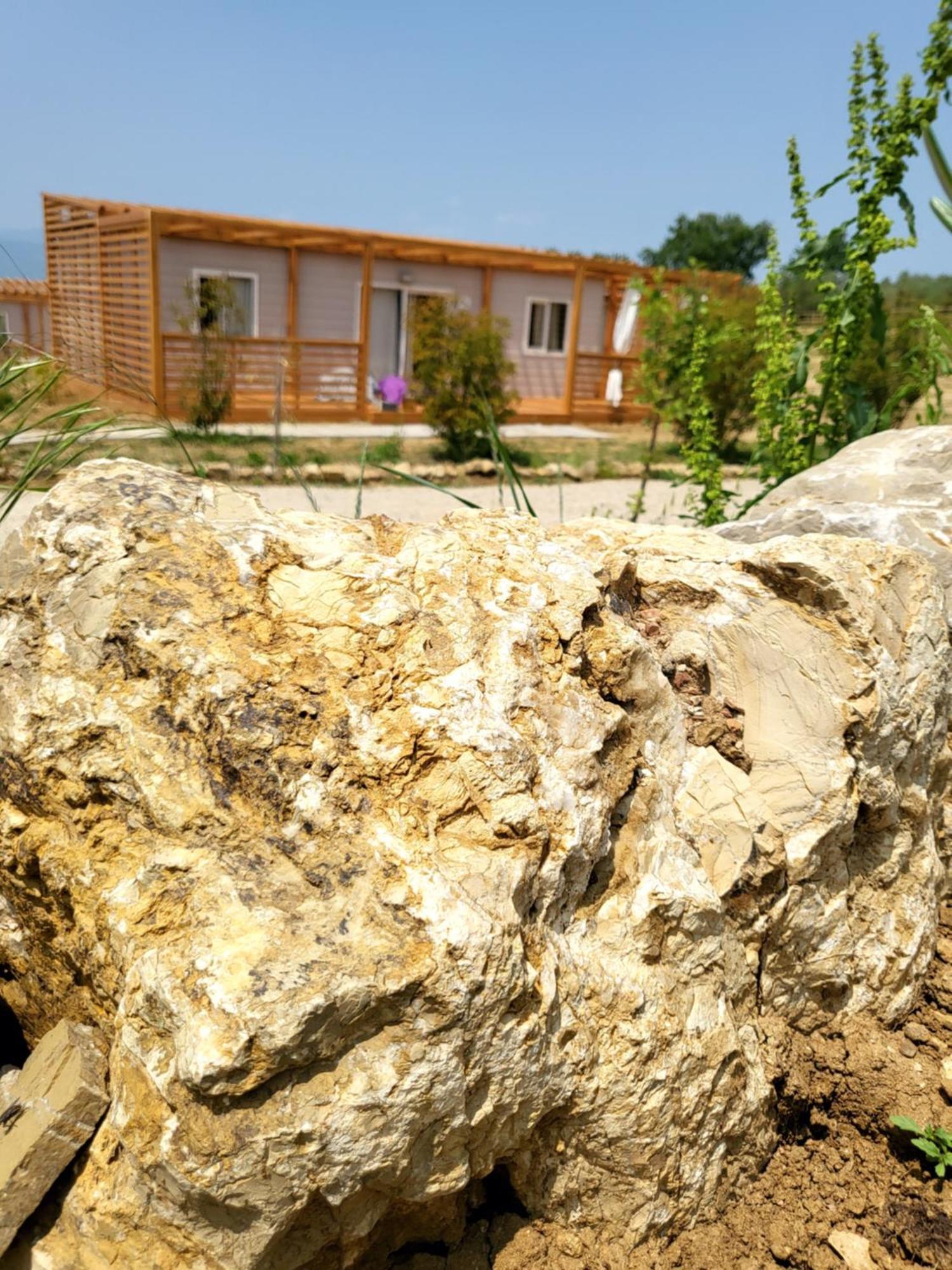 Viovillas Glamping Camping Arezzo