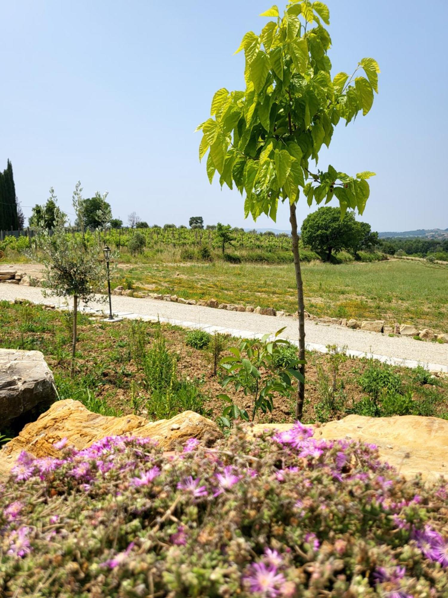 Viovillas Glamping Arezzo