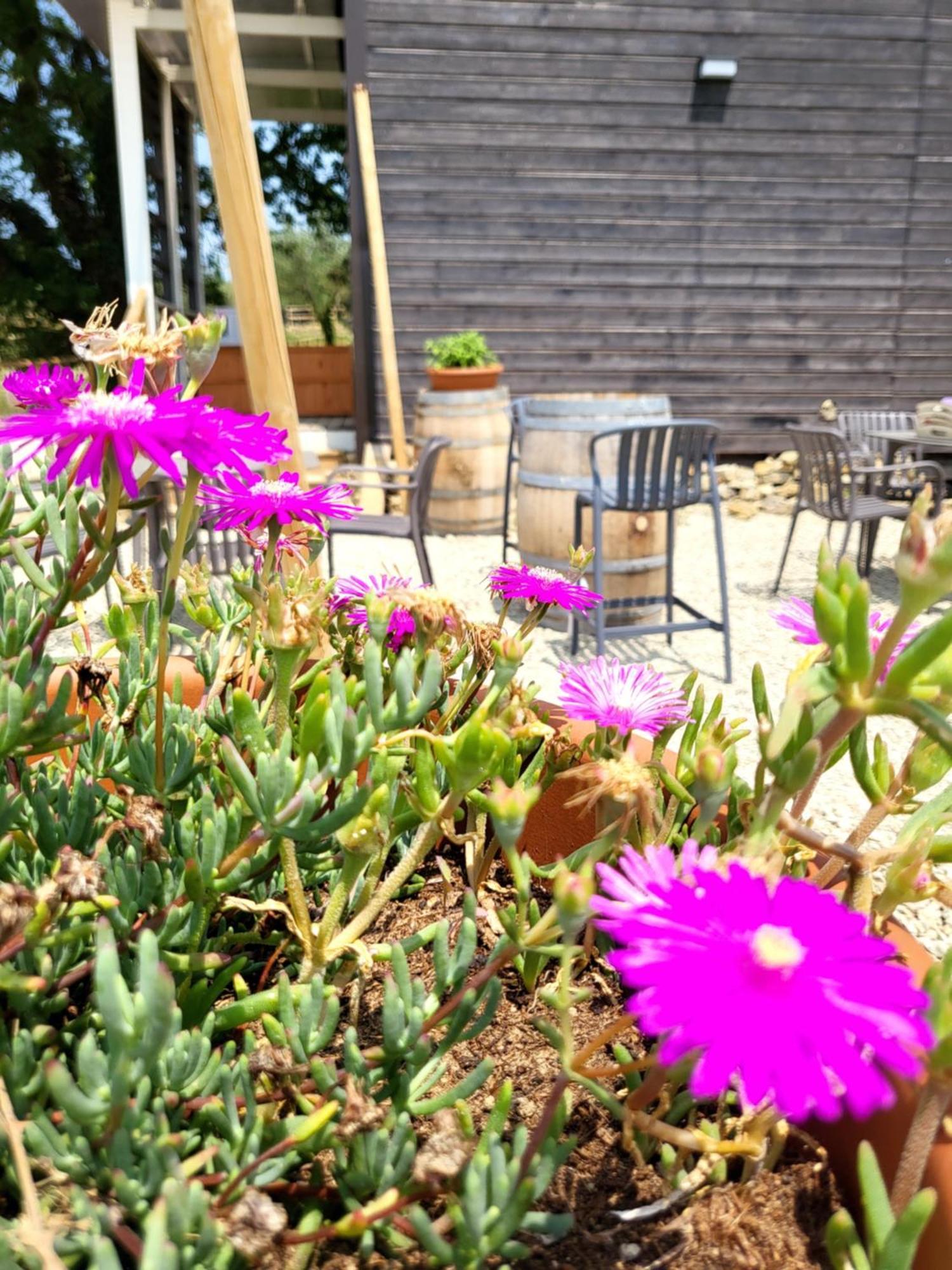 Viovillas Glamping Camping