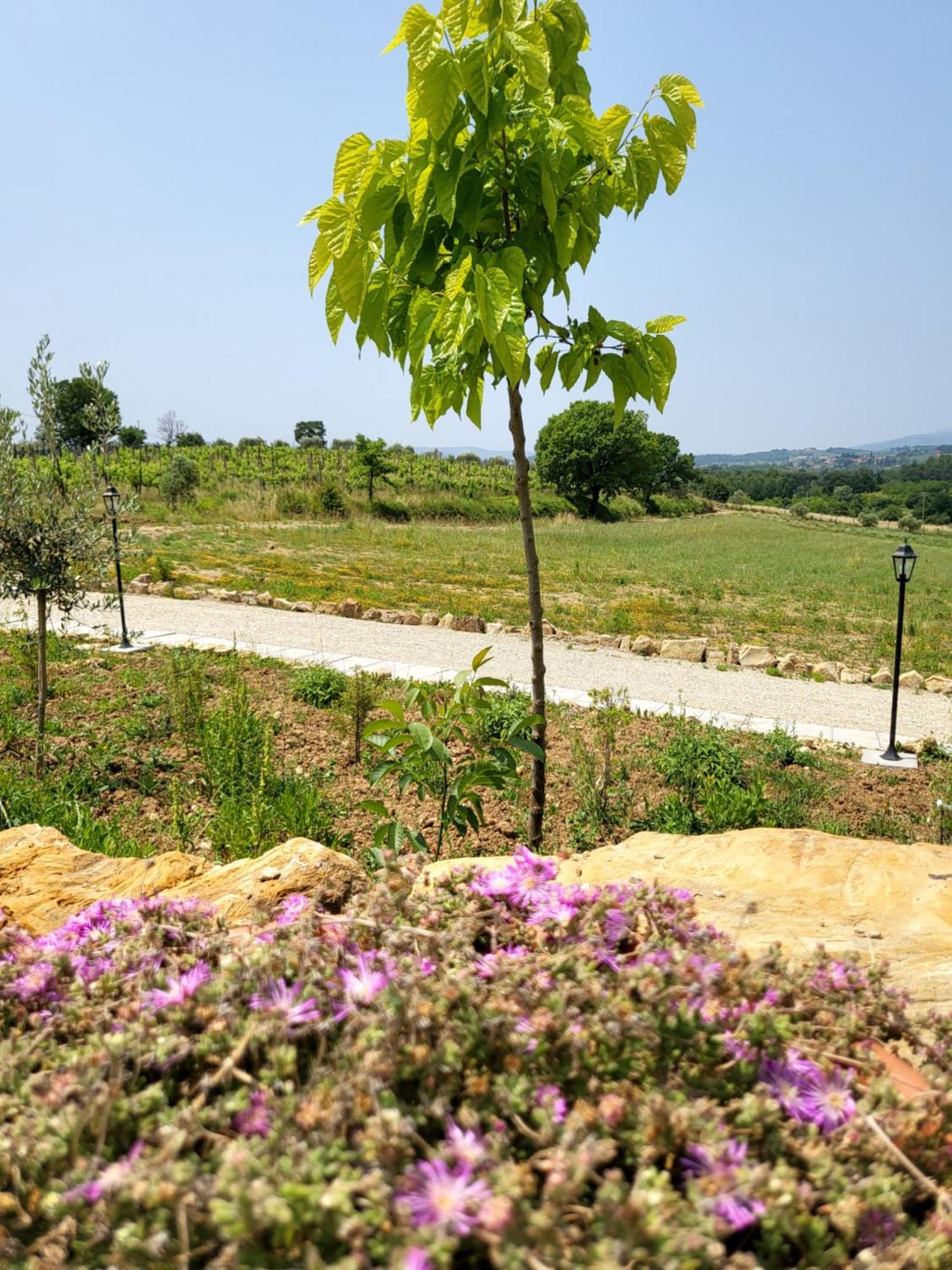 Viovillas Glamping