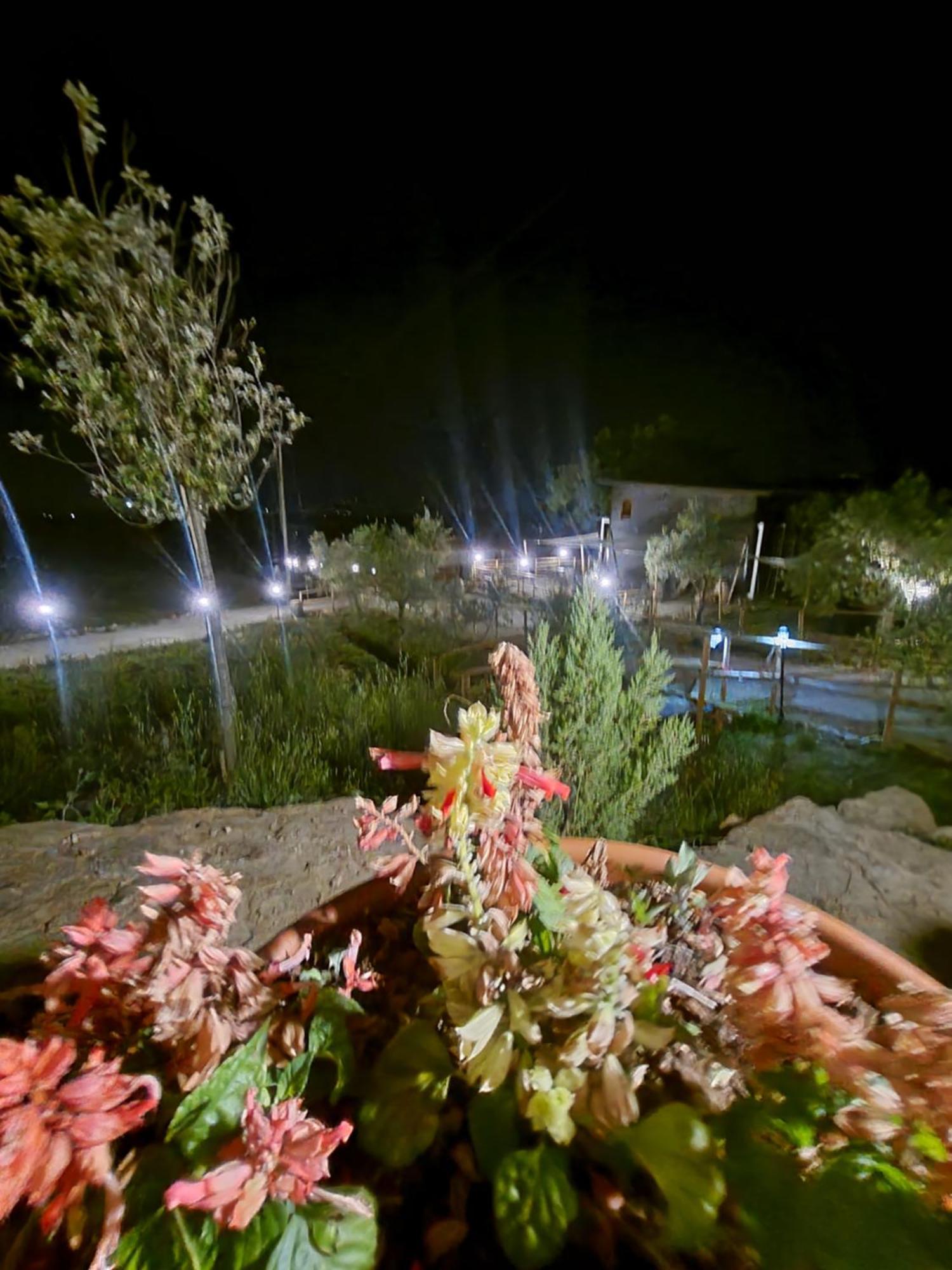 Viovillas Glamping Camping *
